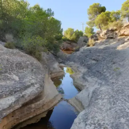 中央酒店 酒店 托雷维耶哈