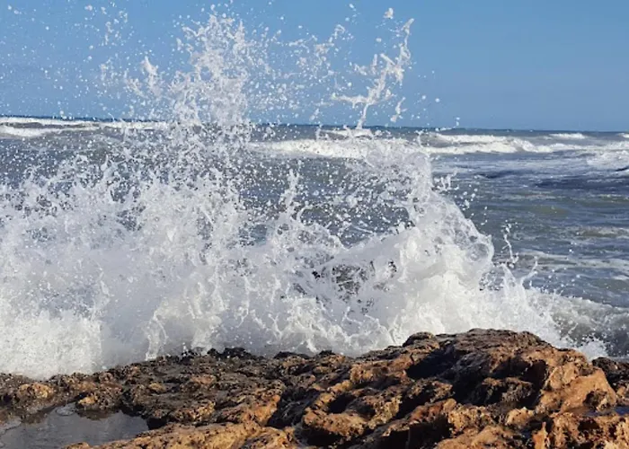 Hotel Central Torrevieja 호텔