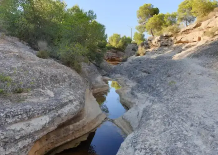 Hotel Central Torrevieja Hotel Torrevieja